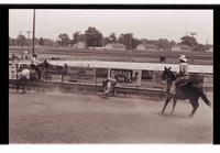 Unidentified Team ropers