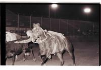 Unidentified Steer wrestler