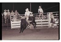 Unidentified Bull rider on unknown Bull