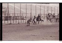 Unidentified Calf roper
