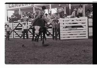 Unidentified Bull rider