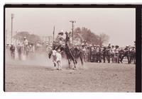 Unidentified Calf roper