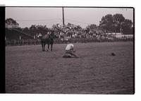 Unidentified Calf roper