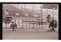 Unidentified Calf roper