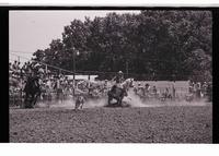 Unidentified Calf roping participant