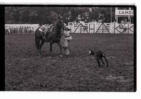 Unidentified Goat tying participant