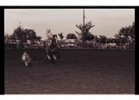 Unidentified Calf roper