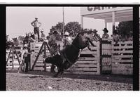 Unidentified Bull rider on unknown mount