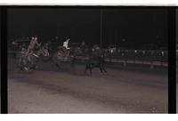 Unidentified Team ropers
