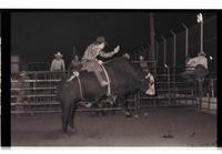 Unidentified Bull rider on unknown Bull