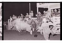 Unidentified Bull rider on unknown mount