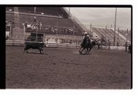 Unidentified rider in Quarter horse competition