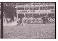 Unidentified Calf ropers