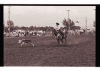 Unidentified Calf roper