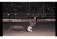 Unidentified Steer wrestler