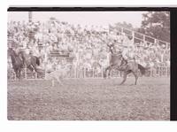 Unidentified Calf roping participant