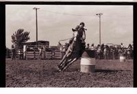 Unidentified Barrel racer