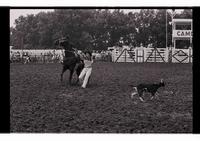 Unidentified Goat tying participant