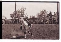 Unidentified Pole bender