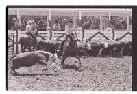Unidentified participants in Cutting Horse competition