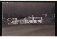 Unidentified Calf roper
