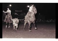 Unidentified Team ropers