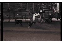 Unidentified Calf roper