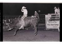 Unidentified rider on unknown Bull