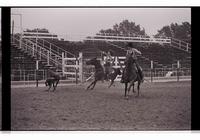 Unidentified Team ropers