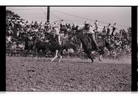 Unidentified Team ropers