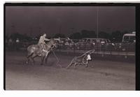 Unidentified Calf roper