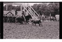 Unidentified participants in Cutting Horse competition