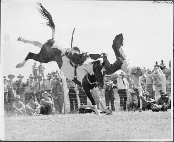 Gene Lamb Rodeo Photographs