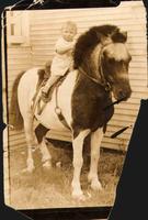 [Mary Lee Robinson sitting on saddled pony]