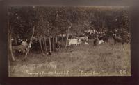 Townsend & Pickett's Ranch, I.T., "Paradise Grove"