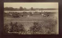 Townsend & Pickett's Ranch, I.T., On Cimarron River