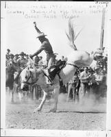 Louis Brooks 1943 World Champion Cowboy Bucking off Pearl Harbor Great Falls Rodeo