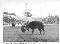 Wayne Cox - Gilmore Stadium Rodeo '44