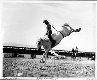 Carl Williams  Cheyenne, Wyo. '43