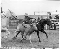 Pat "Paddy" Ryan Steer wrestling (50 years old in October) Havre, Mont., 1946