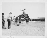Leo Murray [Saddle bronc riding]