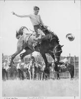 Todd Watley Quinton, Okla. '41