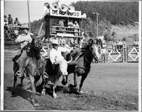 Bulldogging at Days of '76 Show, August 2-3-4