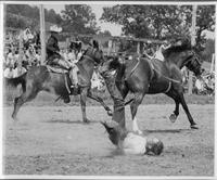J.E. Ranch Rodeo Waverly, N.Y. Bill Parks pick-up man