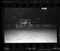 Don Hebb Steer wrestling