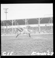 Don Mason Saddle bronc #1