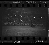 Lee Cockrell Calf roping, 10.66 Sec