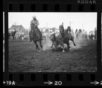 James McClain Steer wrestling