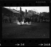 Bernis Johnson Steer wrestling