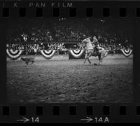 [Unknown Calf roper]
